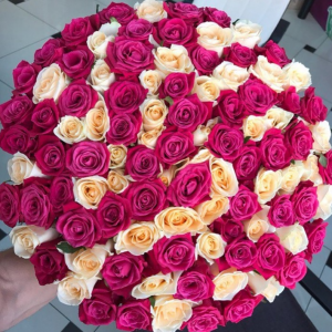 Букет 101 роза кремовая и розовая с оформлением R1250
